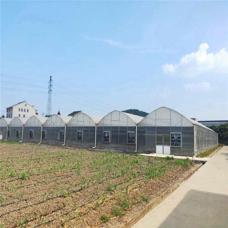 撫遠(yuǎn)大棚配件