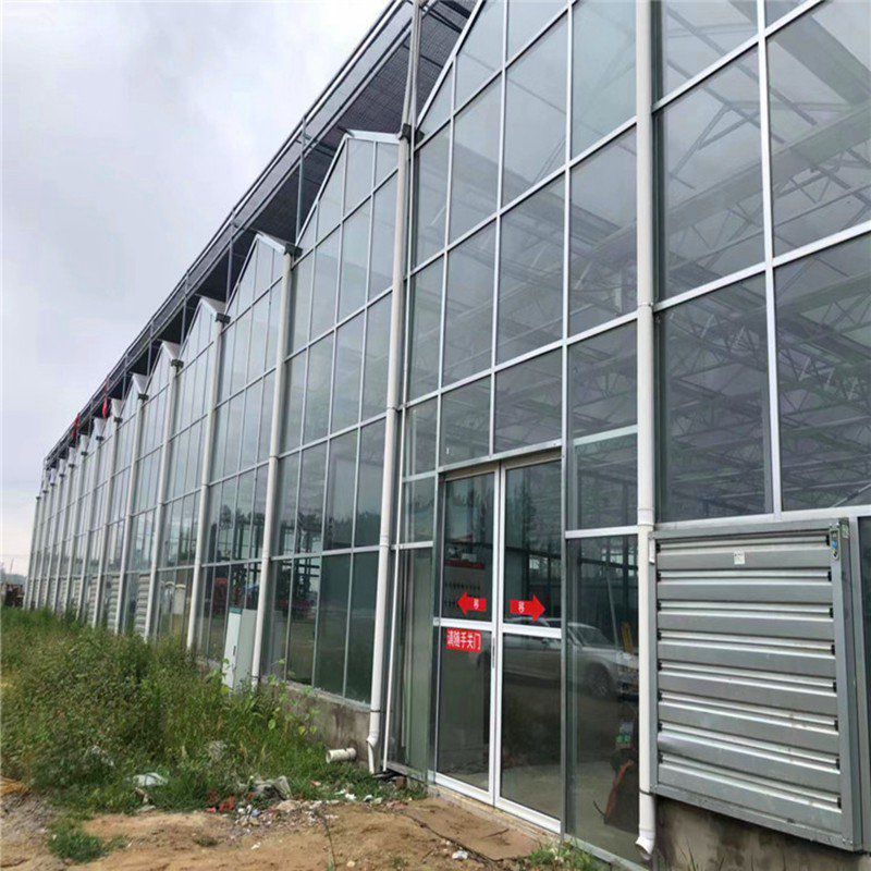 撫遠(yuǎn)玻璃溫室